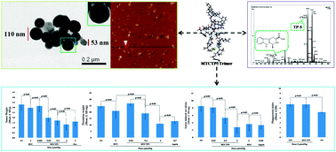 Graphical abstract: Tetrahydro-β-carboline-3-carboxyl-thymopentin: a nano-conjugate for releasing pharmacophores to treat tumor and complications