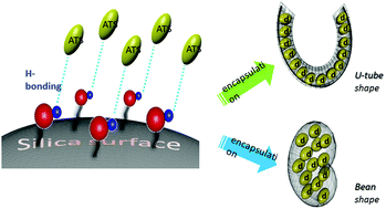 Graphical abstract: Synthesis of mesoporous materials as nano-carriers for an antimalarial drug