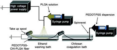 Graphical abstract: A novel and facile approach to fabricate a conductive and biomimetic fibrous platform with sub-micron and micron features