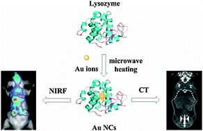 Graphical abstract: Microwave-assisted one-step rapid synthesis of near-infrared gold nanoclusters for NIRF/CT dual-modal bioimaging