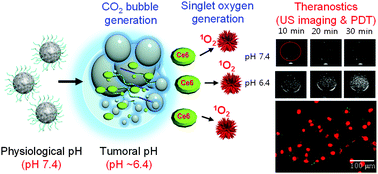 Graphical abstract: Photosensitizer-loaded bubble-generating mineralized nanoparticles for ultrasound imaging and photodynamic therapy