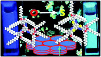 Graphical abstract: Columnar self-assembly of star-shaped luminescent oxadiazole and thiadiazole derivatives