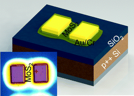 Graphical abstract: Fabrication of MoS2 thin film transistors via selective-area solution deposition methods