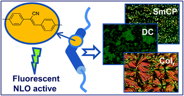 Graphical abstract: Cyanostilbene bent-core molecules: a route to functional materials