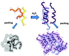 Graphical abstract: Aggregation enhanced pure violet emission of a spiral meta-polyfluorene by supramolecular control of excimer formation