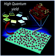 Graphical abstract: White light emitting single polymer from aggregation enhanced emission: a strategy through supramolecular assembly