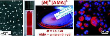 Graphical abstract: M3+[amaranth red]3− (M = La, Gd): a novel sulfonate-based inorganic–organic hybrid nanomaterial for multimodal imaging