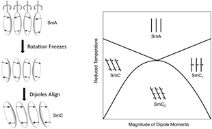 Graphical abstract: Control of free volume through size exclusion in the formation of smectic C phases for display applications