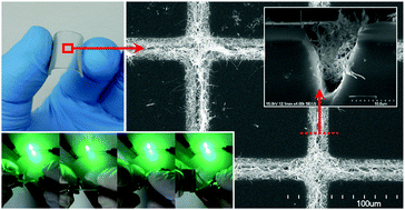 Graphical abstract: Metal nanowire percolation micro-grids embedded in elastomers for stretchable and transparent conductors