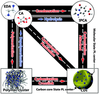 Graphical abstract: Investigation from chemical structure to photoluminescent mechanism: a type of carbon dots from the pyrolysis of citric acid and an amine