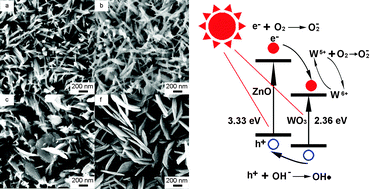 Graphical abstract: Hydrothermal preparation of WO3 nanorod array and ZnO nanosheet array composite structures on FTO substrates with enhanced photocatalytic properties