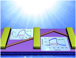Graphical abstract: Geometry-induced high performance ultraviolet photodetectors in kinked SnO2 nanowires