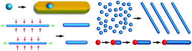 Graphical abstract: Emerging strategies for the synthesis of monodisperse colloidal semiconductor quantum rods