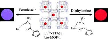 Graphical abstract: A novel fluorescence probe for sensing organic amine vapors from a Eu3+ β-diketonate functionalized bio-MOF-1 hybrid system
