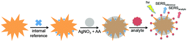Graphical abstract: Silver embedded nanostars for SERS with internal reference (SENSIR)
