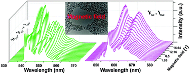 Graphical abstract: Magnetic field modulated upconversion luminescence in NaYF4:Yb,Er nanoparticles