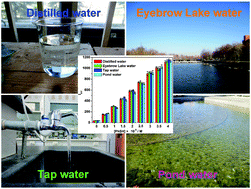 Graphical abstract: A fluorescent probe for benzenethiols and its application on test paper, in water samples and living cells