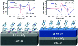 Graphical abstract: Tuning the magneto-optical response of TbPc2 single molecule magnets by the choice of the substrate