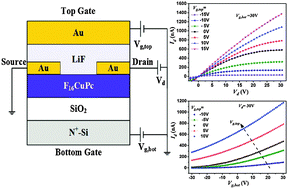 Graphical abstract: Operational dynamics and architecture dependence of double-gate OFETs with balanced top and bottom channel characteristics