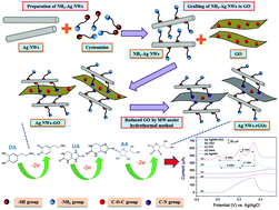 Graphical abstract: Fabrication of a silver nanowire-reduced graphene oxide-based electrochemical biosensor and its enhanced sensitivity in the simultaneous determination of ascorbic acid, dopamine, and uric acid