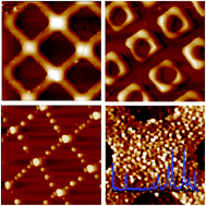 Graphical abstract: A direct microcontact printing induced supramolecular interaction for creating shape-tunable patterned polymeric surfaces
