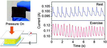 Graphical abstract: A flexible high-sensitivity piezoresistive sensor comprising a Au nanoribbon-coated polymer sponge