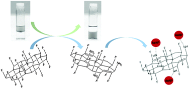 Graphical abstract: Covalent modification of exfoliated fluorographite with nitrogen functionalities