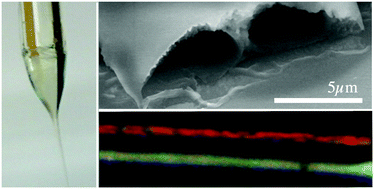 Graphical abstract: Multifunctional responsive fibers produced by dual liquid crystal core electrospinning