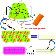 Graphical abstract: Spiropyran-induced one-dimensional cyclodextrin microcrystals with light-driven fluorescence change