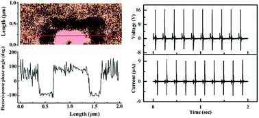Graphical abstract: Self-polarized piezoelectric thin films: preparation, formation mechanism and application