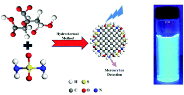 Graphical abstract: Synthesis, mechanistic investigation, and application of photoluminescent sulfur and nitrogen co-doped carbon dots