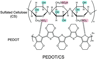 Graphical abstract: The development of a highly conductive PEDOT system by doping with partially crystalline sulfated cellulose and its electric conductivity