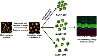 Graphical abstract: Gold nanoparticle density-multiplication by tuning block copolymer self-assembly processes toward increased charge storage