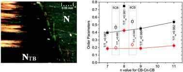 Graphical abstract: Raman scattering studies of order parameters in liquid crystalline dimers exhibiting the nematic and twist-bend nematic phases