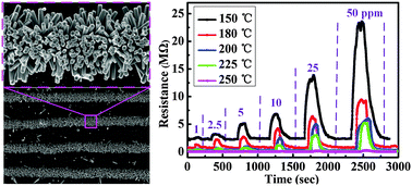 Graphical abstract: Highly sensitive, temperature-dependent gas sensor based on hierarchical ZnO nanorod arrays