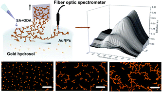 Graphical abstract: Highly tunable plasmonic assemblies of gold nanoparticles: in-plane manipulation of plasmon coupling with nanometer precision