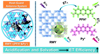 Graphical abstract: Tuning the efficiency of multi-step energy transfer in a host–guest antenna system based on a chalcogenide semiconductor zeolite through acidification and solvation of guests