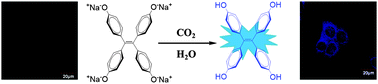 Graphical abstract: A water-soluble tetraphenylethene based probe for luminescent carbon dioxide detection and its biological application