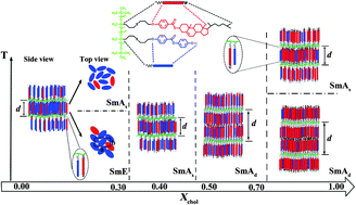 Graphical abstract: Synthesis and self-assembly behaviours of side-chain smectic thiol–ene polymers based on the polysiloxane backbone