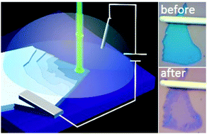 Graphical abstract: Laser-induced electrochemical thinning of MoS2