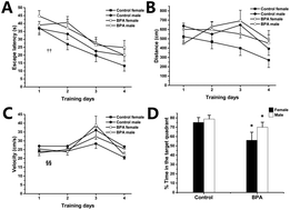 Graphical abstract: Perinatal exposure to low-dose bisphenol A disrupts learning/memory and DNA methylation of estrogen receptor alpha in the hippocampus