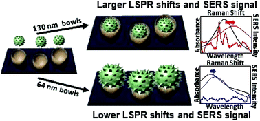 Graphical abstract: Tunable Au–Ag nanobowl arrays for size-selective plasmonic biosensing