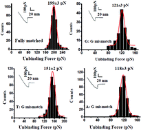 Graphical abstract: Discriminating unalike single nucleobase mismatches using a molecularly resolved, label-free, interfacial LNA-based assay