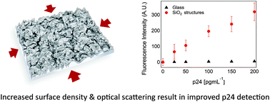 Graphical abstract: Multi-scale silica structures for improved HIV-1 Capsid (p24) antigen detection