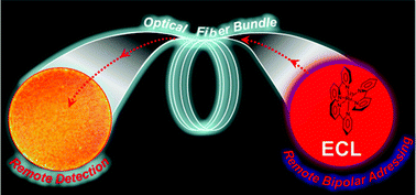 Graphical abstract: Double remote electrochemical addressing and optical readout of electrochemiluminescence at the tip of an optical fiber