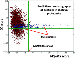 Graphical abstract: Predictive chromatography of peptides and proteins as a complementary tool for proteomics