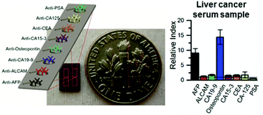 Graphical abstract: Multiplexed cancer biomarker detection using chip-integrated silicon photonic sensor arrays
