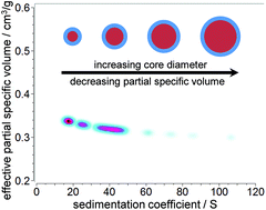 Graphical abstract: 2D analysis of polydisperse core–shell nanoparticles using analytical ultracentrifugation