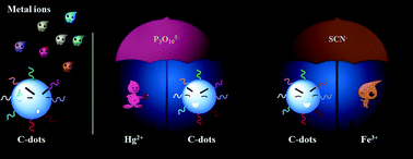 Graphical abstract: Rational designed strategy to dispel mutual interference of mercuric and ferric ions towards robust, pH-stable fluorescent carbon nanodots
