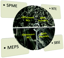 Graphical abstract: Application of nanocomposite-based sorbents in microextraction techniques: a review